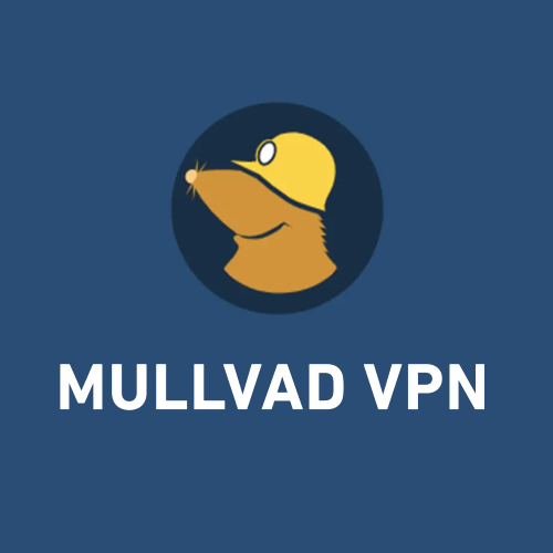 Mullvad VPN Review 2022