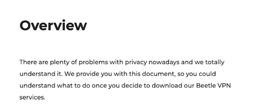 BeetleVPN overview