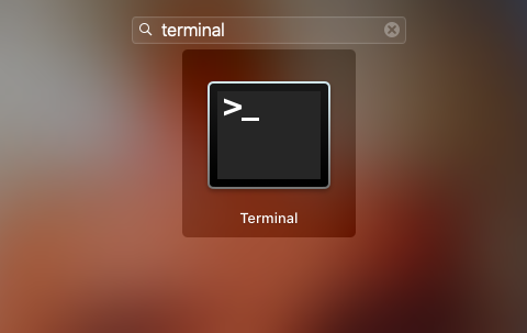 terminal screenshot