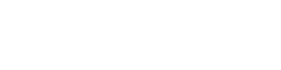 NordVPN white logo
