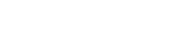 NordVPN white logo