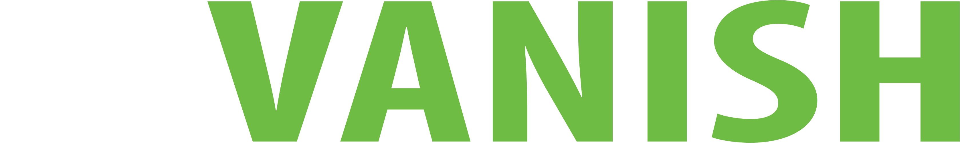 IPVanish white logo