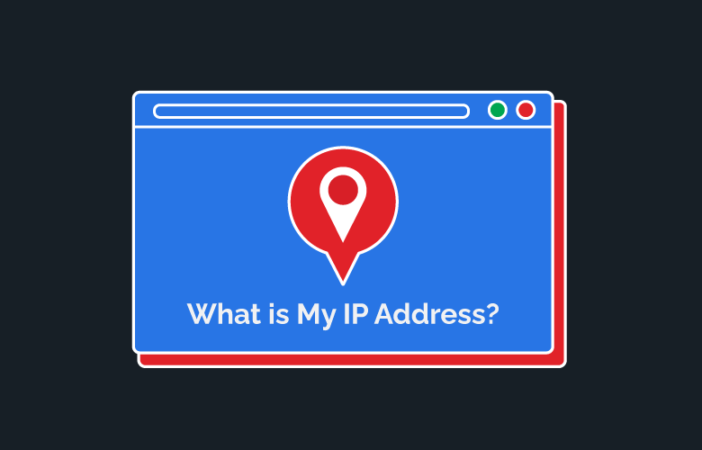 Web Search IP Address Graphic