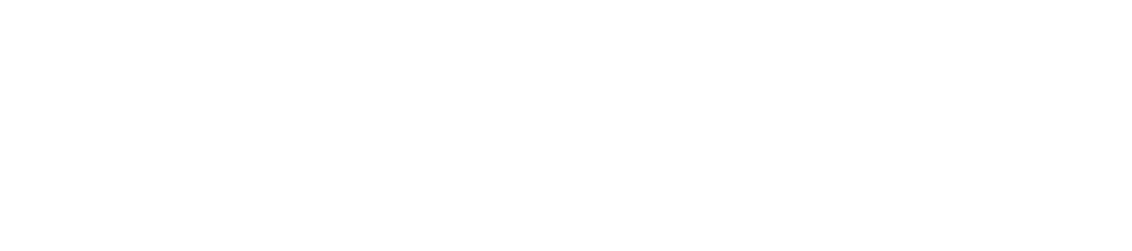 NordVPN logo